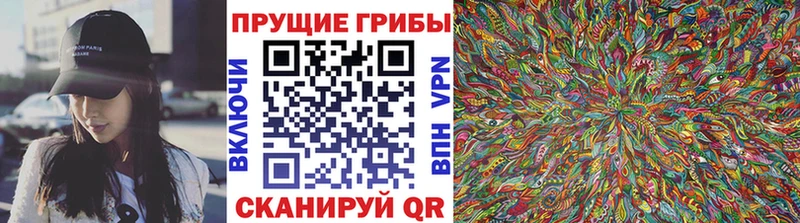 Галлюциногенные грибы ЛСД  купить закладку  Дорогобуж 